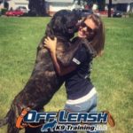 Vivid Boca Raton Dog Training Capture Photography Vivid Boca Raton Dog Training Capture Photography