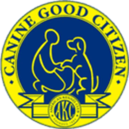 AKC Canine Good Citizen